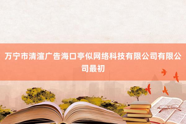 万宁市清渲广告海口亭似网络科技有限公司有限公司最初