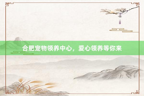 合肥宠物领养中心，爱心领养等你来
